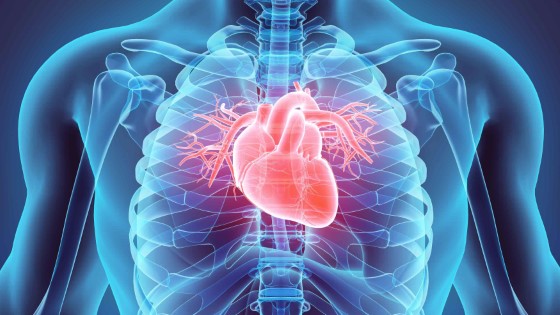 Ochromující a velmi ostré svíravé bolesti mohou značit, kromě jiného, také vážná srdeční onemocnění; zdroj: nhlbi.nih.gov